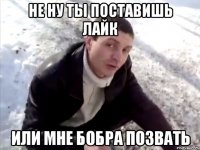 не ну ты поставишь лайк или мне бобра позвать