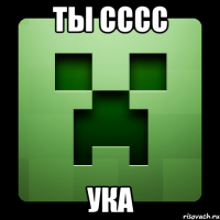 ты сссс ука