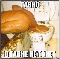 гавно в гавне не тонет