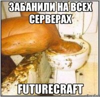 забанили на всех серверах futurecraft