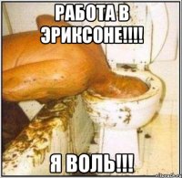 работа в эриксоне!!! я воль!!!