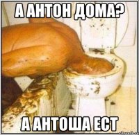 а антон дома? а антоша ест