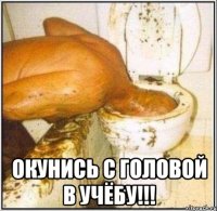  окунись с головой в учёбу!!!