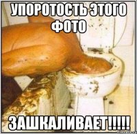 упоротость этого фото зашкаливает!!!