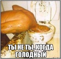  ты не ты, когда голодный