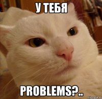 у тебя problems?..