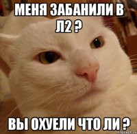 меня забанили в л2 ? вы охуели что ли ?