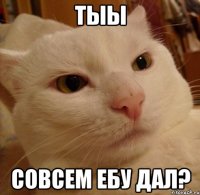 тыы совсем ебу дал?