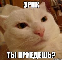 эрик ты приедешь?