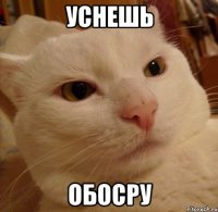 уснешь обосру