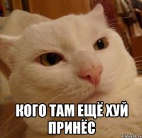  кого там ещё хуй принёс