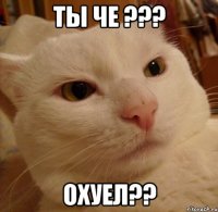 ты че ??? охуел??