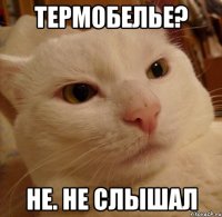 термобелье? не. не слышал