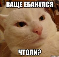 ваще ебанулся чтоли?