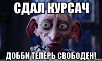 сдал курсач добби теперь свободен!