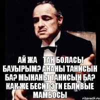 Қай жақтан боласың бауырым? Ананы танисын ба? Мынаны танисын ба? Как же бесит эти ебливые мамбосы