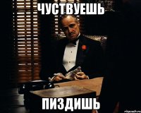 чуствуешь пиздишь