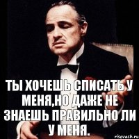 Ты хочешь списать у меня,но даже не знаешь правильно ли у меня.