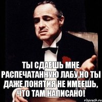 ты сдаешь мне распечатанную лабу,но ты даже понятия не имеешь, что там написано!