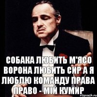 собака любить м'ясо ворона любить сир а я люблю команду права право - мій кумир