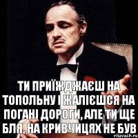 Ти приїжджаєш на топольну і жалієшся на погані дороги, але ти ще бля, на кривчицях не був