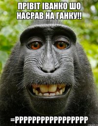 прівіт іванко шо насрав на ганку!! =ррррррррррррррррр