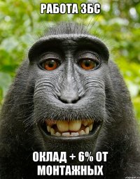 работа збс оклад + 6% от монтажных