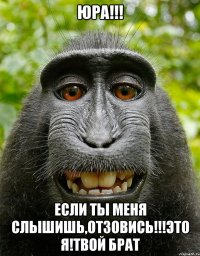 юра!!! если ты меня слышишь,отзовись!!!это я!твой брат