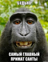 будько самый главный примат санты