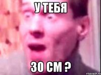 у тебя 30 см ?