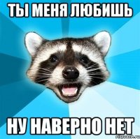 ты меня любишь ну наверно нет