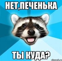 нет,печенька ты куда?