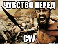 чувство перед cw