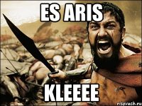 es aris kleeee