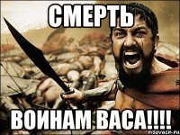 смерть воинам васа!!!