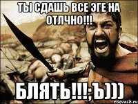 ты сдашь все эге на отлчно!!! блять!!!;ъ)))