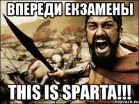 впереди екзамены this is sparta!!!