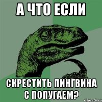 а что если скрестить пингвина с попугаем?