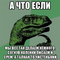 а что если мы все так делаем немного, согнув коленки писаем и срем, а талкан то чистенький