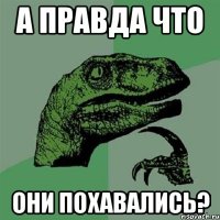 а правда что они похавались?