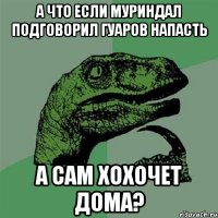 а что если муриндал подговорил гуаров напасть а сам хохочет дома?