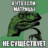 а что если, матрицы не существует