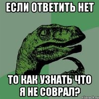 если ответить нет то как узнать что я не соврал?