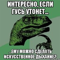 интересно, если гусь утонет... ...ему можно сделать искусственное дыхание?