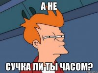 а не сучка ли ты часом?