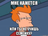 мне кажется или ты не учишь семейку?