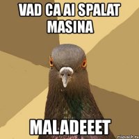 vad ca ai spalat masina maladeeet