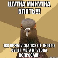 шутка минутка блять!!! яж прям усцался от твоего супер мега крутова вопроса!!!