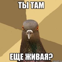 ты там еще живая?