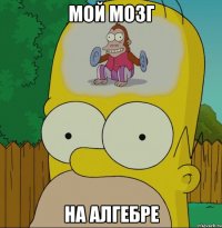 мой мозг на алгебре